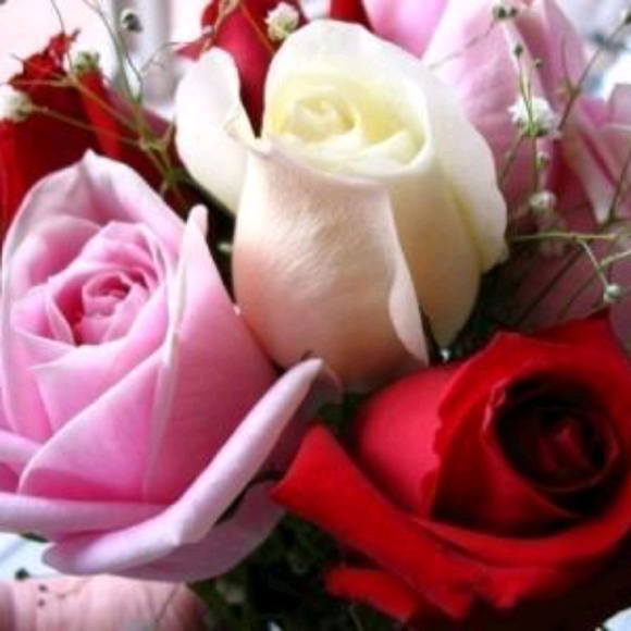 Meet your Posher, Maria - Picture 1 of 1